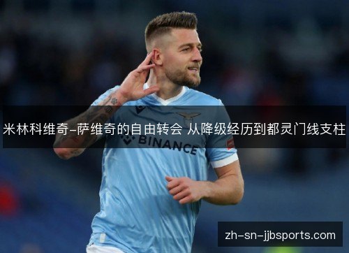米林科维奇-萨维奇的自由转会 从降级经历到都灵门线支柱 米林科维奇-萨维奇的自由转会 从降级经历到都灵门线支柱